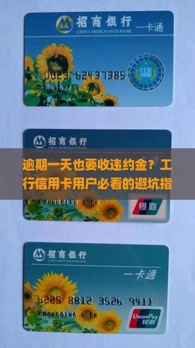 工行信用卡逾期一天违约金如何计算