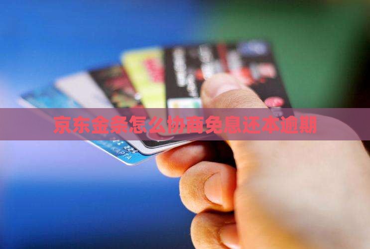 京东金条怎么协商免息还本