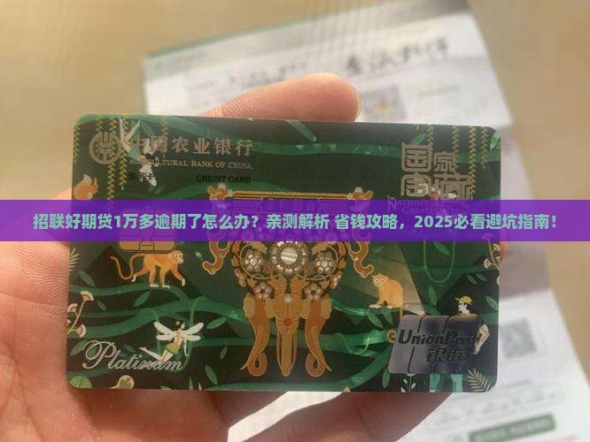 招联好期贷1万多逾期会怎样处理