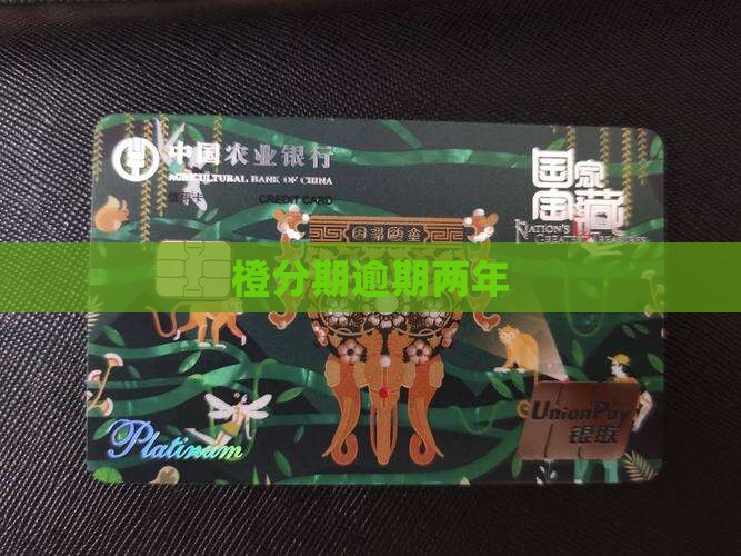 橙分期逾期两年