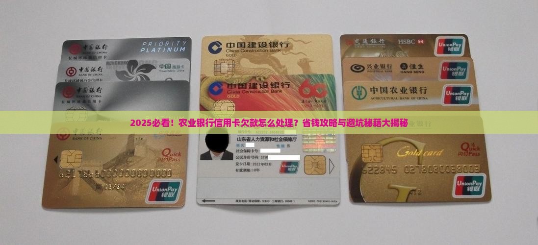 欠农业银行信用卡怎么处理 欠农业银行信用卡怎么处理