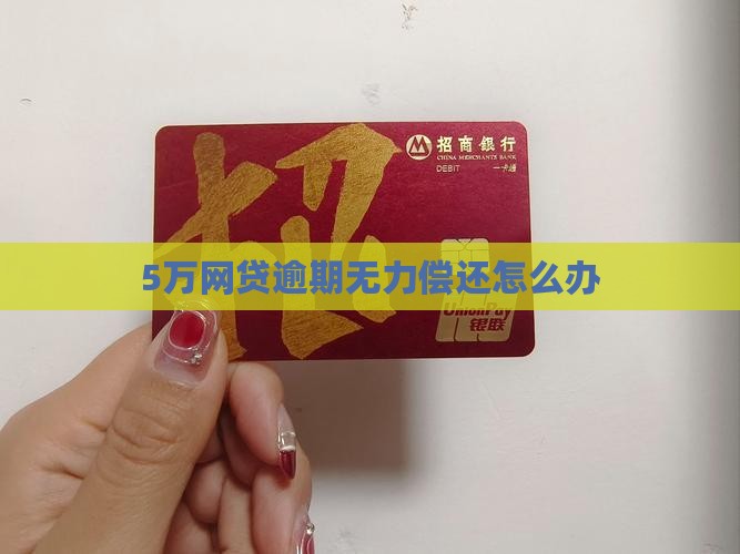 5万网贷逾期无力偿还怎么办