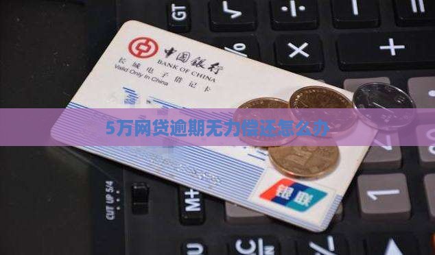 5万网贷逾期无力偿还怎么办