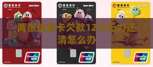 两张信用卡欠款12万无力还清怎么办