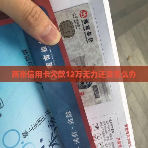两张信用卡欠款12万无力还清怎么办