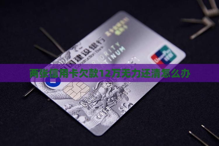 两张信用卡欠款12万无力还清怎么办