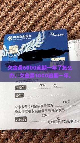 欠金条6000逾期一年了怎么办