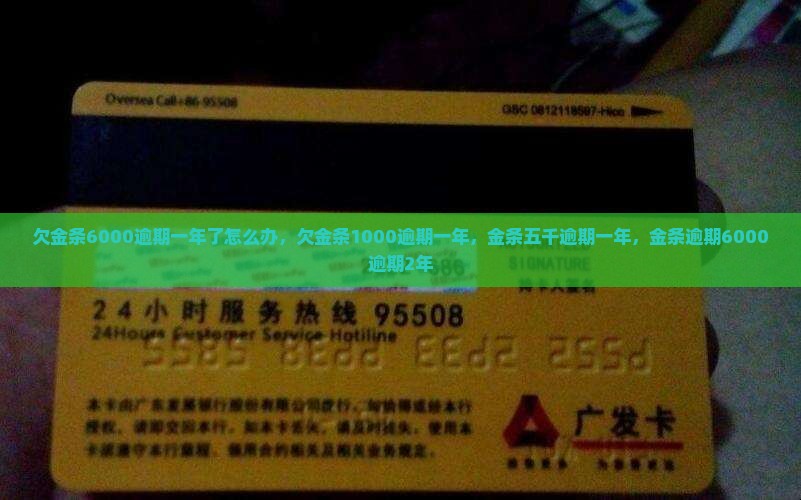 欠金条6000逾期一年了怎么办