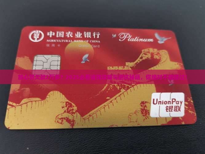 放心贷欠款2万多怎么办 放心贷欠款2万多怎么办