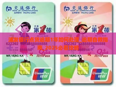 浦发银行点贷逾期1年如何处理 浦发银行点贷逾期1年如何处理