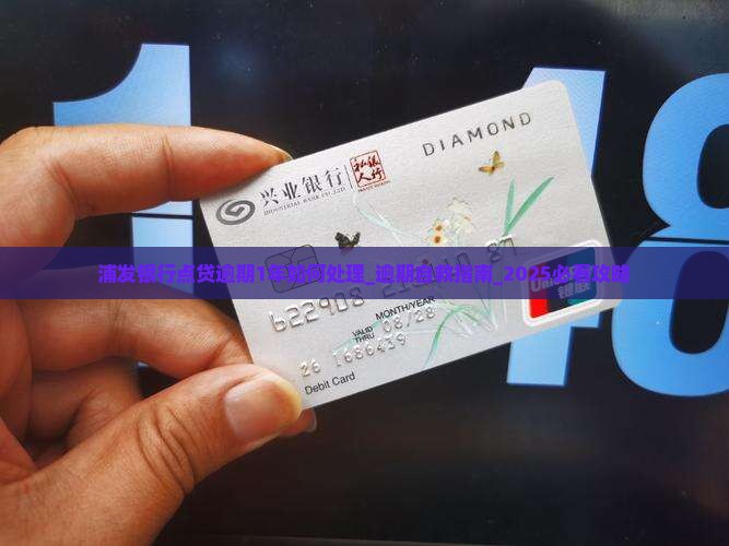 浦发银行点贷逾期1年如何处理 浦发银行点贷逾期1年如何处理