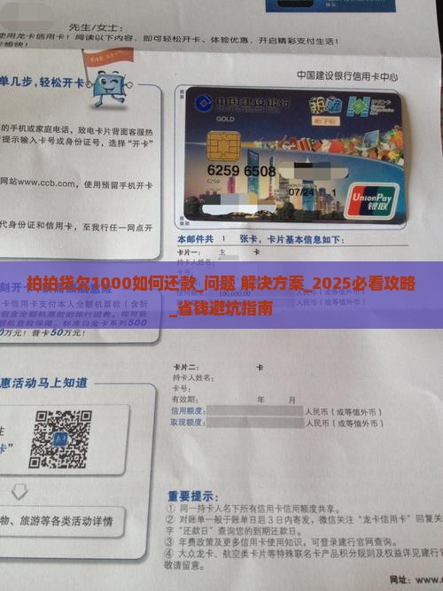拍拍贷欠1000如何还款