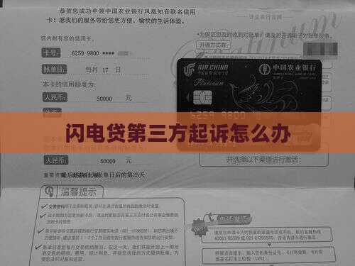闪电贷第三方起诉怎么办