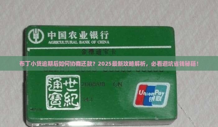 布丁小贷逾期可以协商吗如何处理逾期借款问题