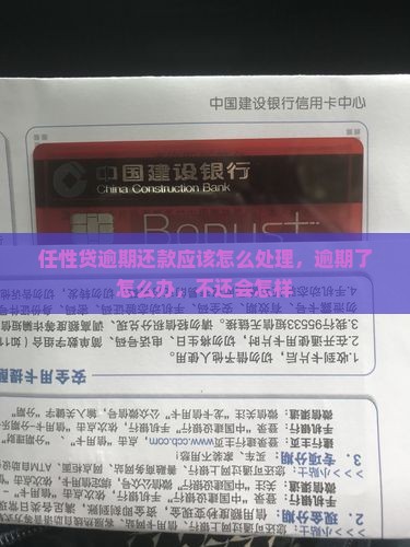 任性贷逾期还款应该怎么处理