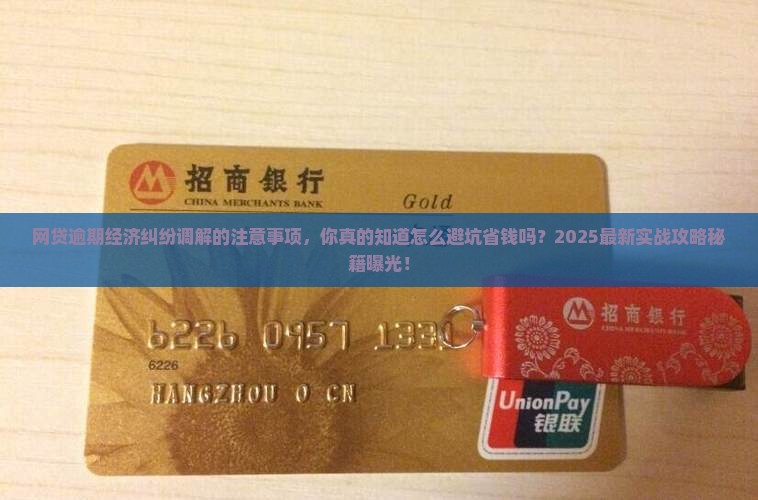 网贷逾期经济纠纷调解的注意事项