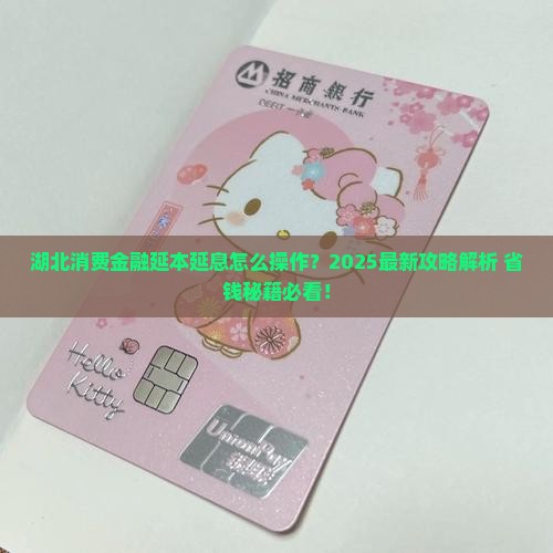 湖北消费金融延本延息如何操作