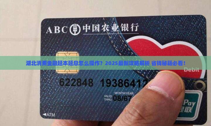 湖北消费金融延本延息如何操作