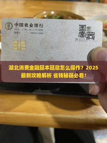 湖北消费金融延本延息如何操作