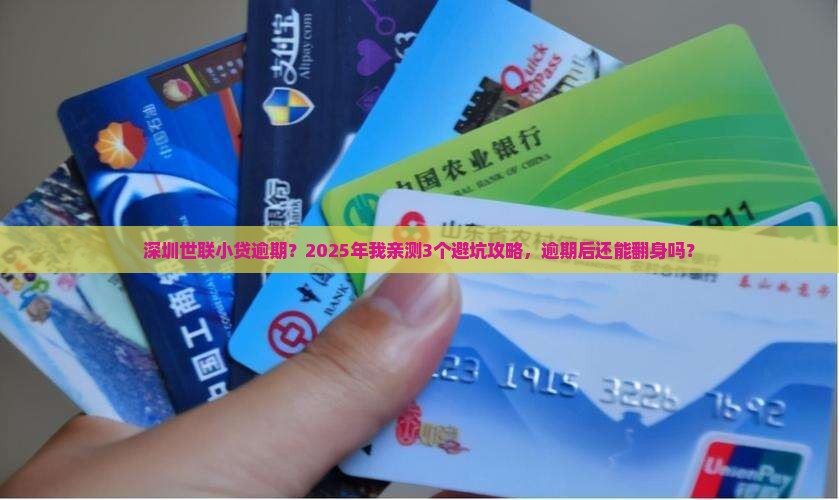 深圳世联小贷逾期