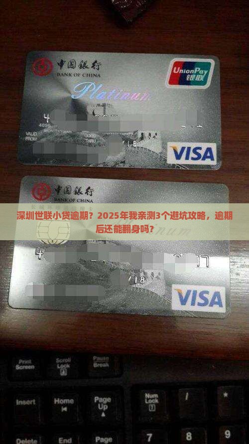 深圳世联小贷逾期