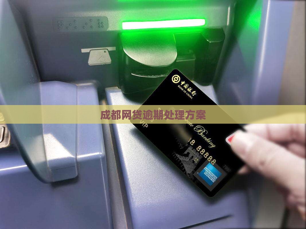 成都网贷逾期处理方案
