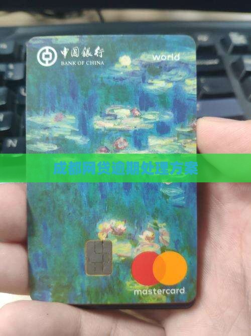 成都网贷逾期处理方案