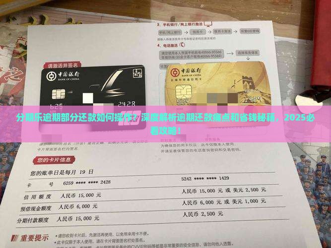 分期乐逾期部分还款如何操作