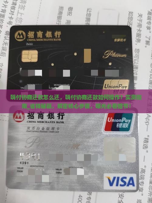 嗨付协商还款怎么还