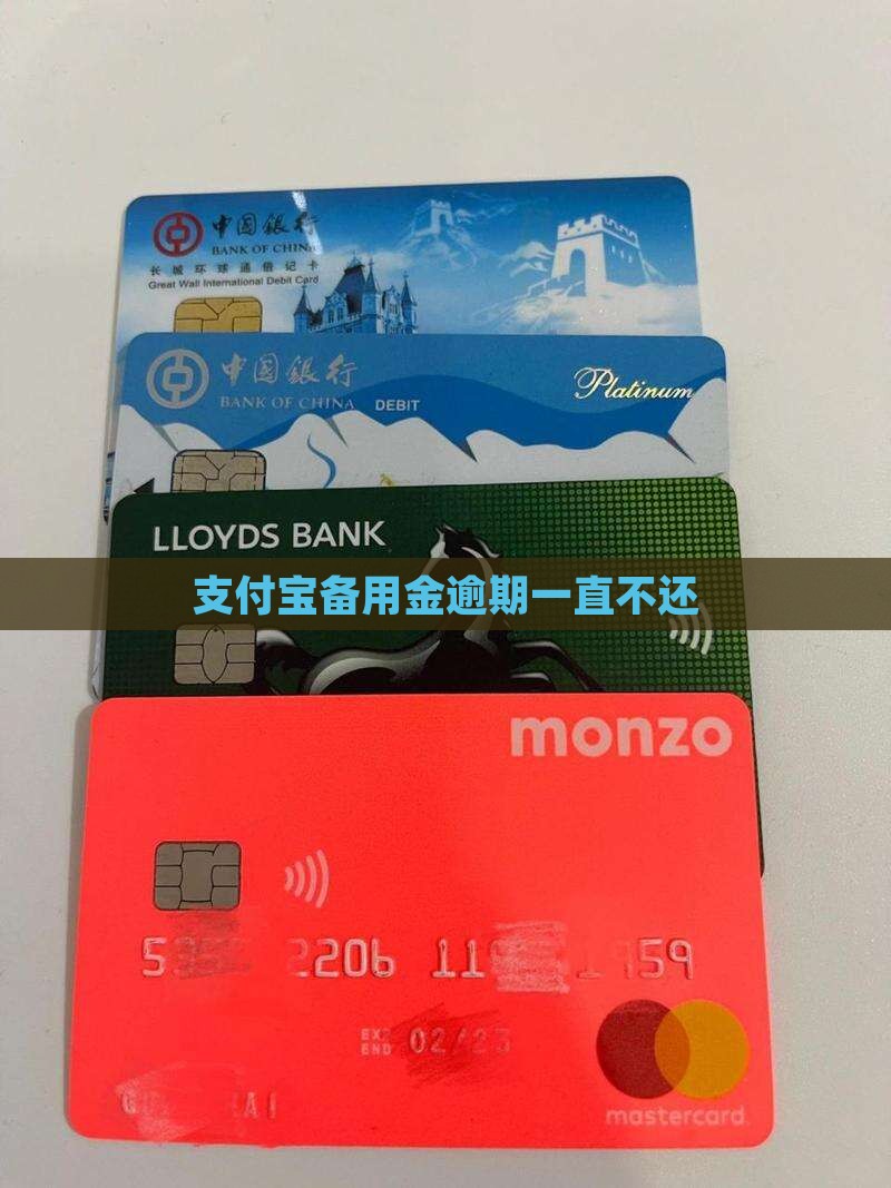 支付宝备用金逾期一直不还