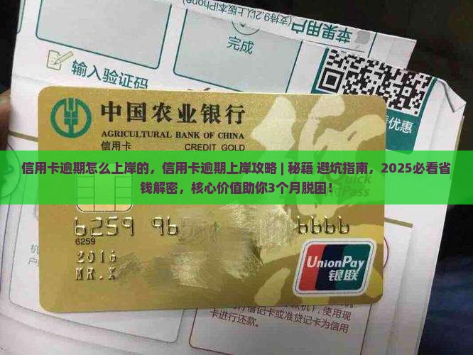 信用卡逾期怎么上岸的