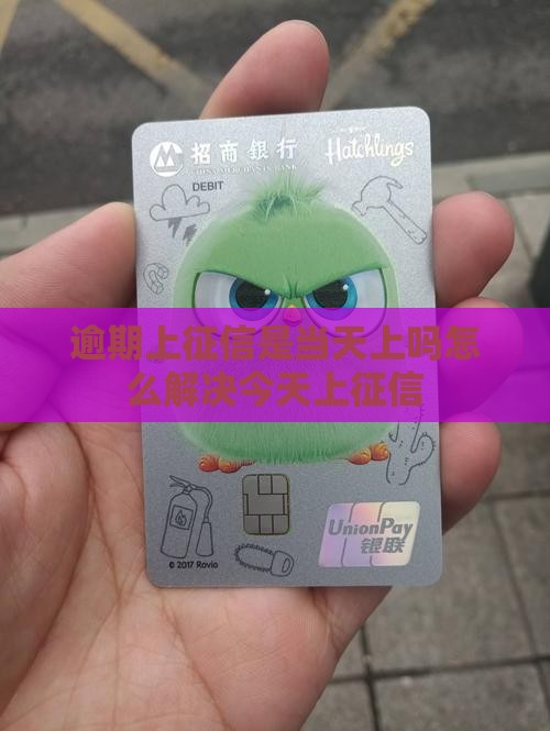 逾期上征信是当天上吗怎么解决