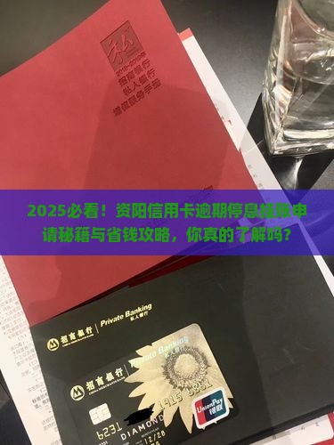 资阳信用卡逾期停息挂账申请条件及流程