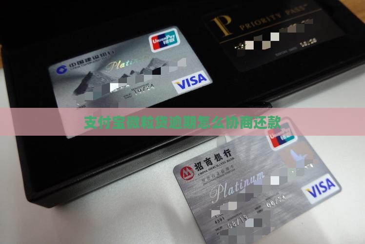 支付宝微粒贷逾期如何协商