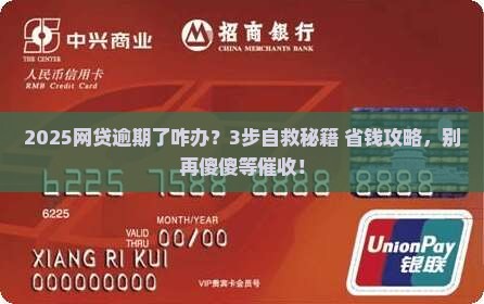 微博网贷逾期了怎么办