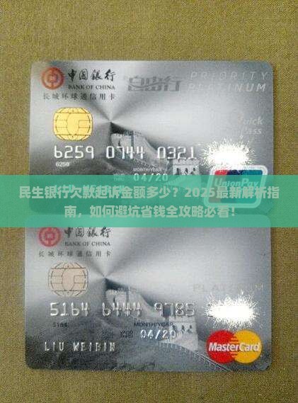民生银行欠款起诉金额多少