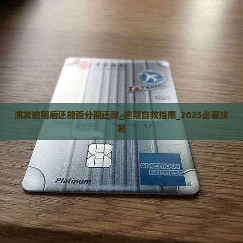 浦发逾期后还能否分期还款