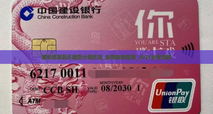 浦发逾期后还能否分期还款