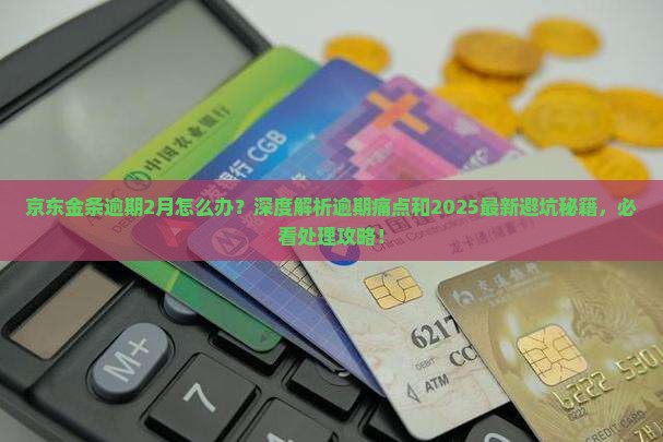 京东金条逾期2月怎么办应该去哪里处理 京东金条逾期2月怎么办应该去哪里处理