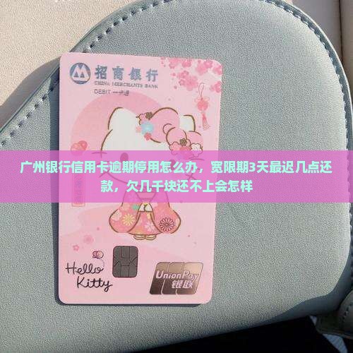广州银行信用卡逾期停用怎么办