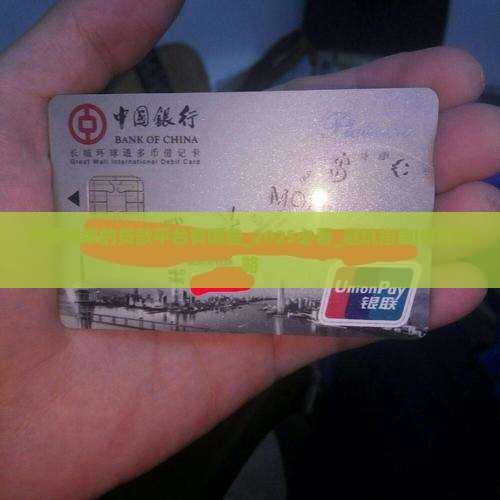 需要电审的贷款平台有哪些