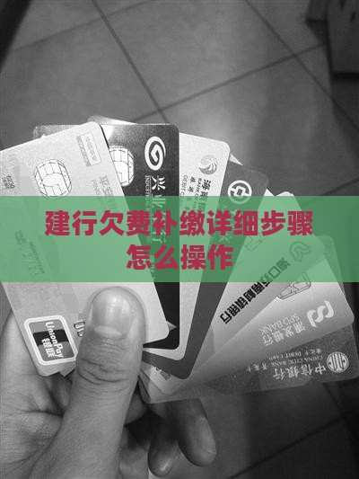 建行欠费补缴详细步骤怎么操作