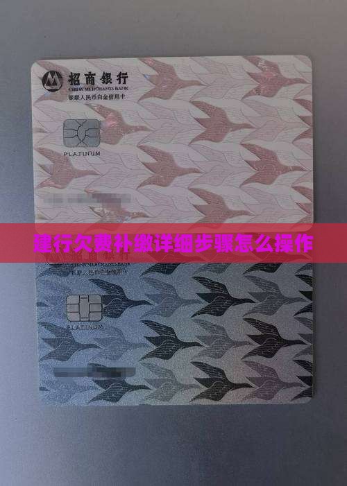 建行欠费补缴详细步骤怎么操作