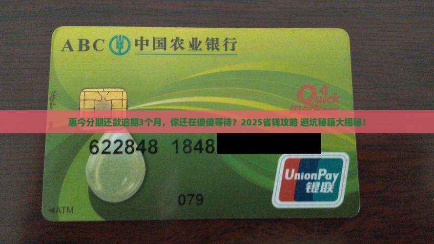 惠今分期还款逾期3个月了