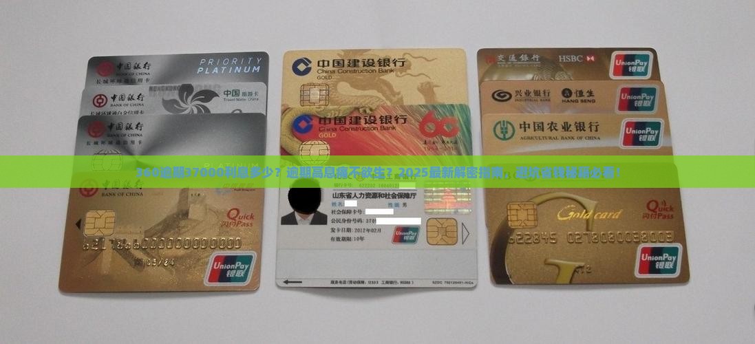 360逾期37000利息多少