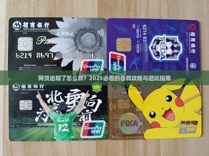 我的网贷逾期了怎么解决