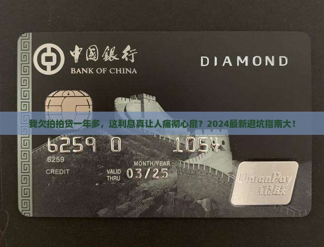 我欠拍拍贷一年多