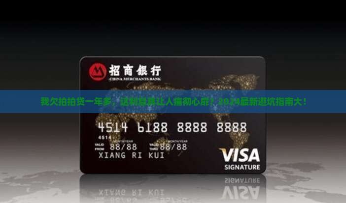 我欠拍拍贷一年多