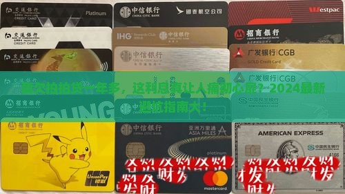 我欠拍拍贷一年多