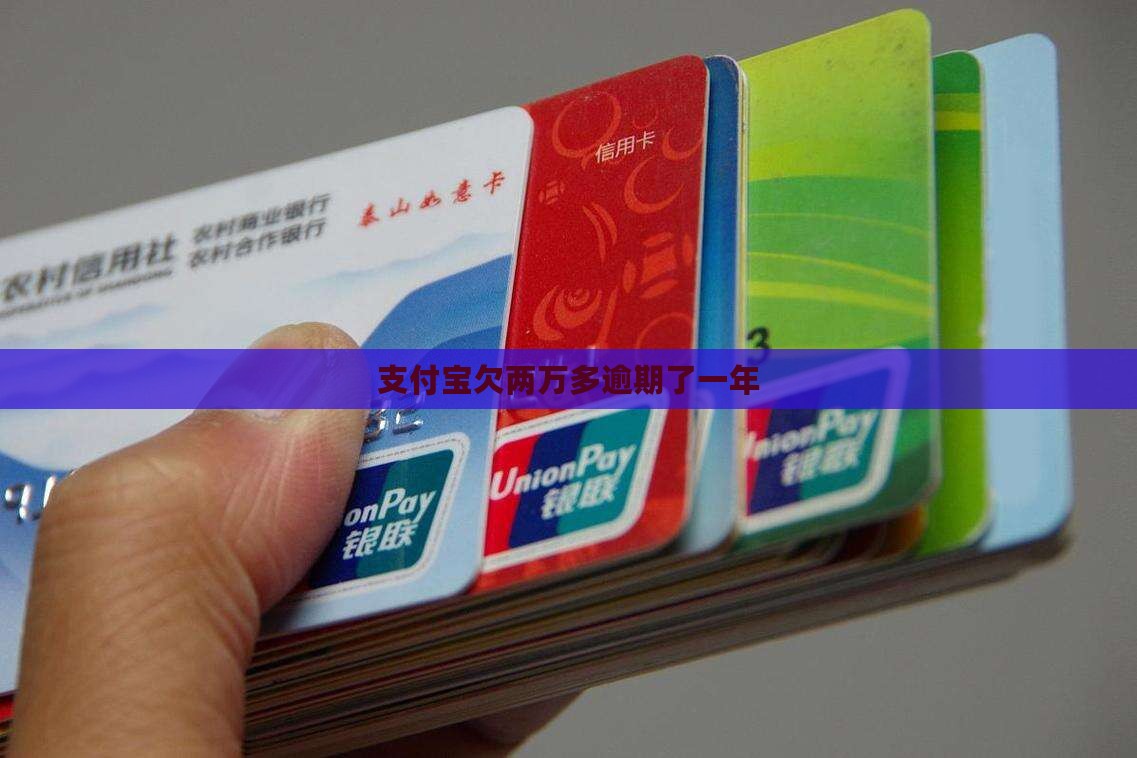 支付宝欠两万多逾期了一年
